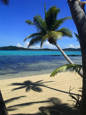 Dovolenka Fiji (Fidži) - pláž a palmy v exotike