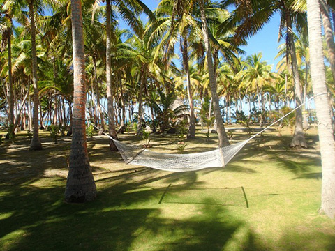 Relax in Fiji