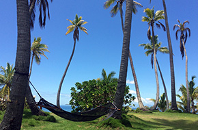 Relax under the palm trees in Fiji