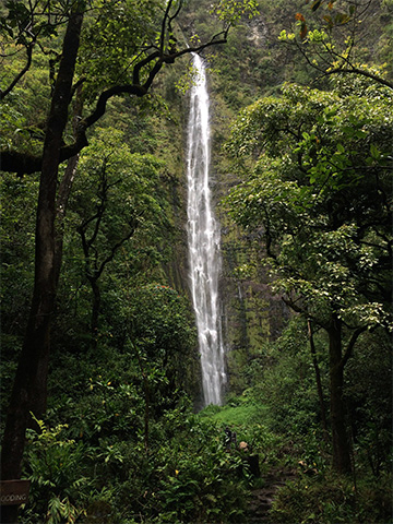Spoznávací pobyt na Havaji - ostrov Maui, vodopád