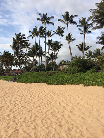Hawaiian beach - Maui