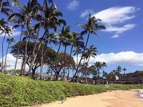 Individuálna dovolenka na Havaji - ostrov Maui, pieskové pláže