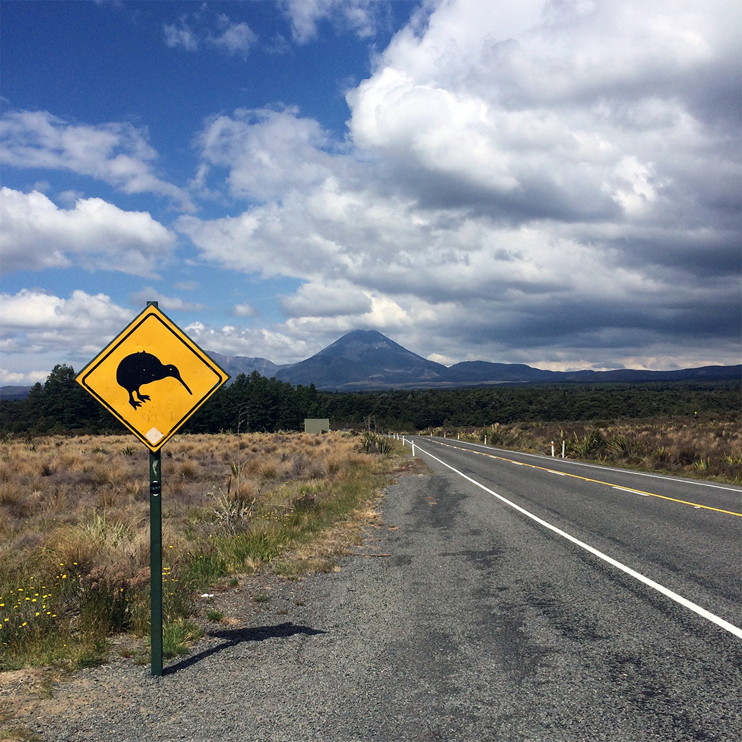 Road trip autom po Novom Zélande
